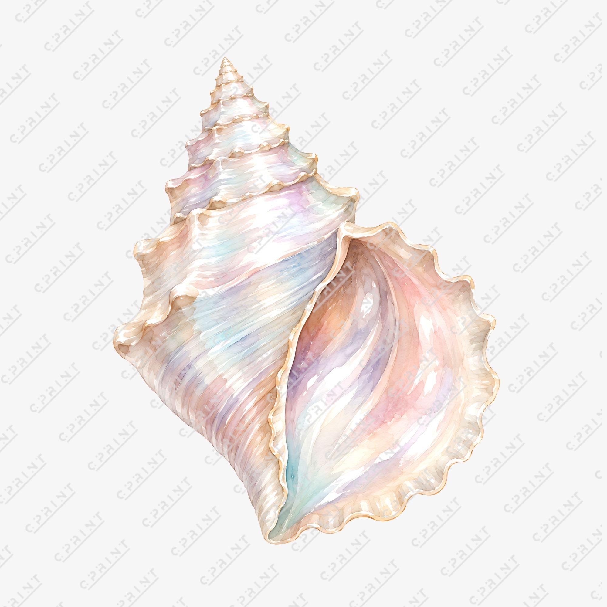 Iridescent Conch Shell Cutout