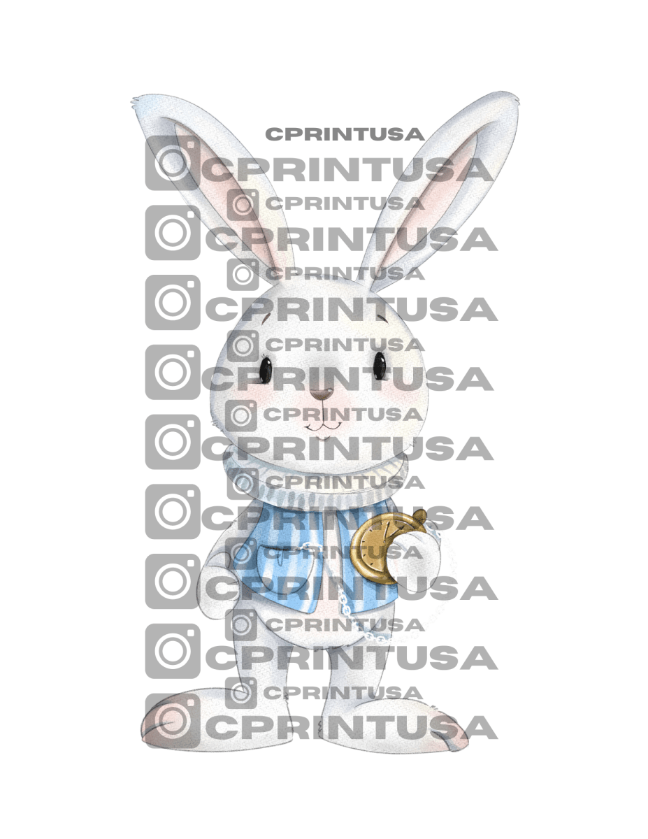 ALICE IN WONDERLAND CUT OUT - FestiUSA