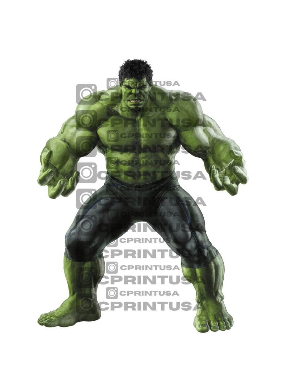 AVENGERS CUT OUT - FestiUSA