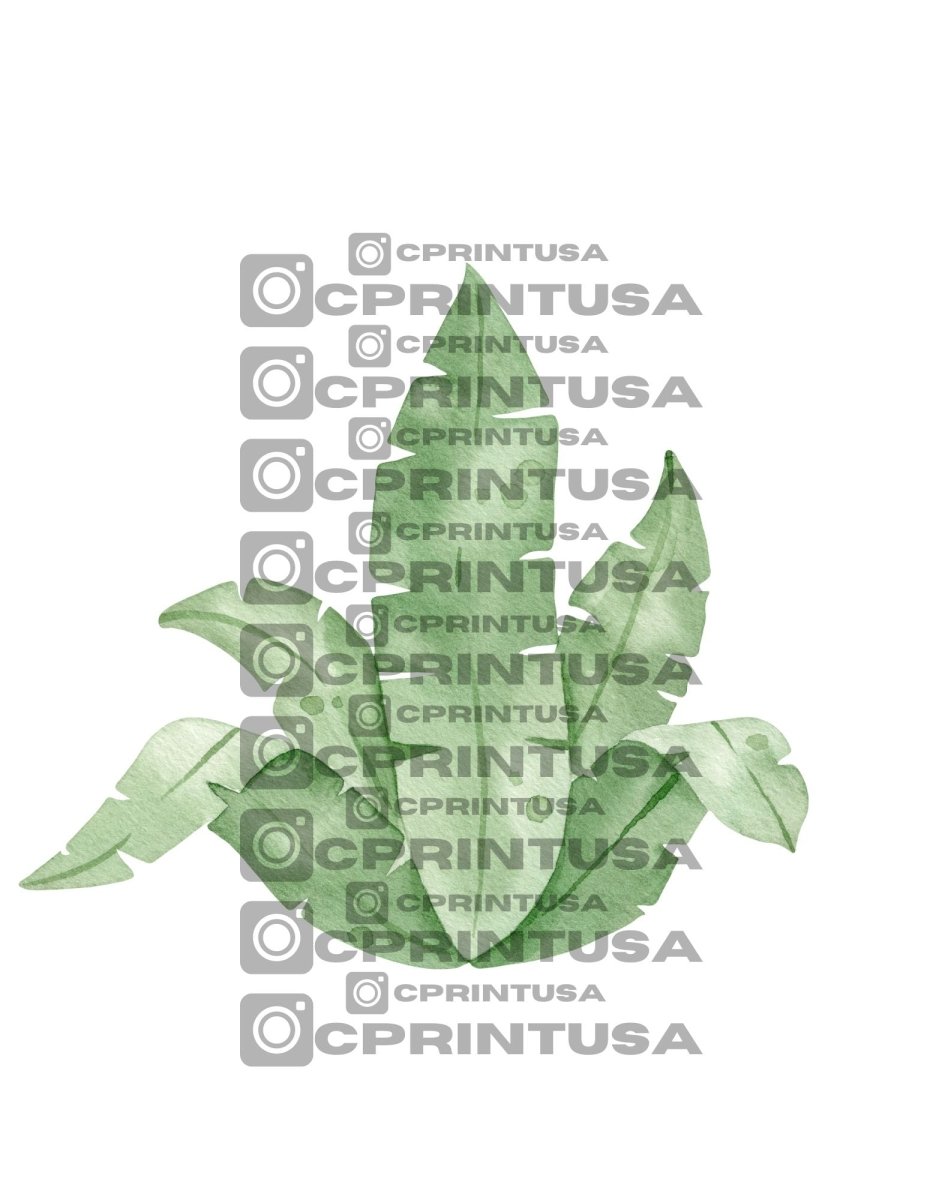 CUTE DINOSAUR CUT OUT - FestiUSA