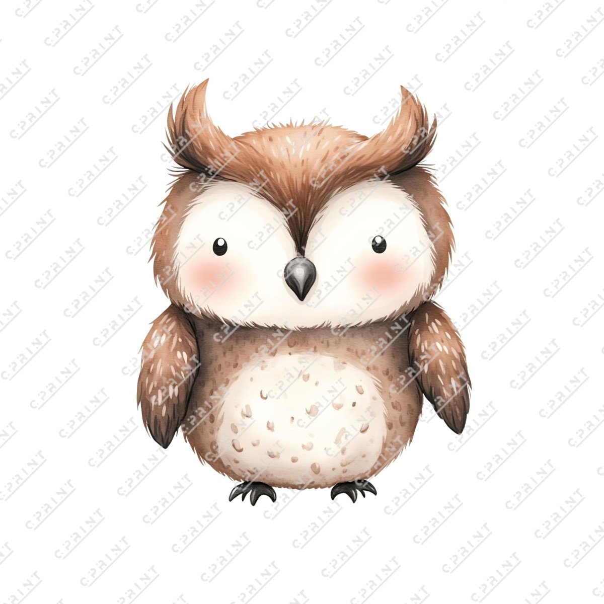 Cute Watercolor Baby Owl - FestiUSA