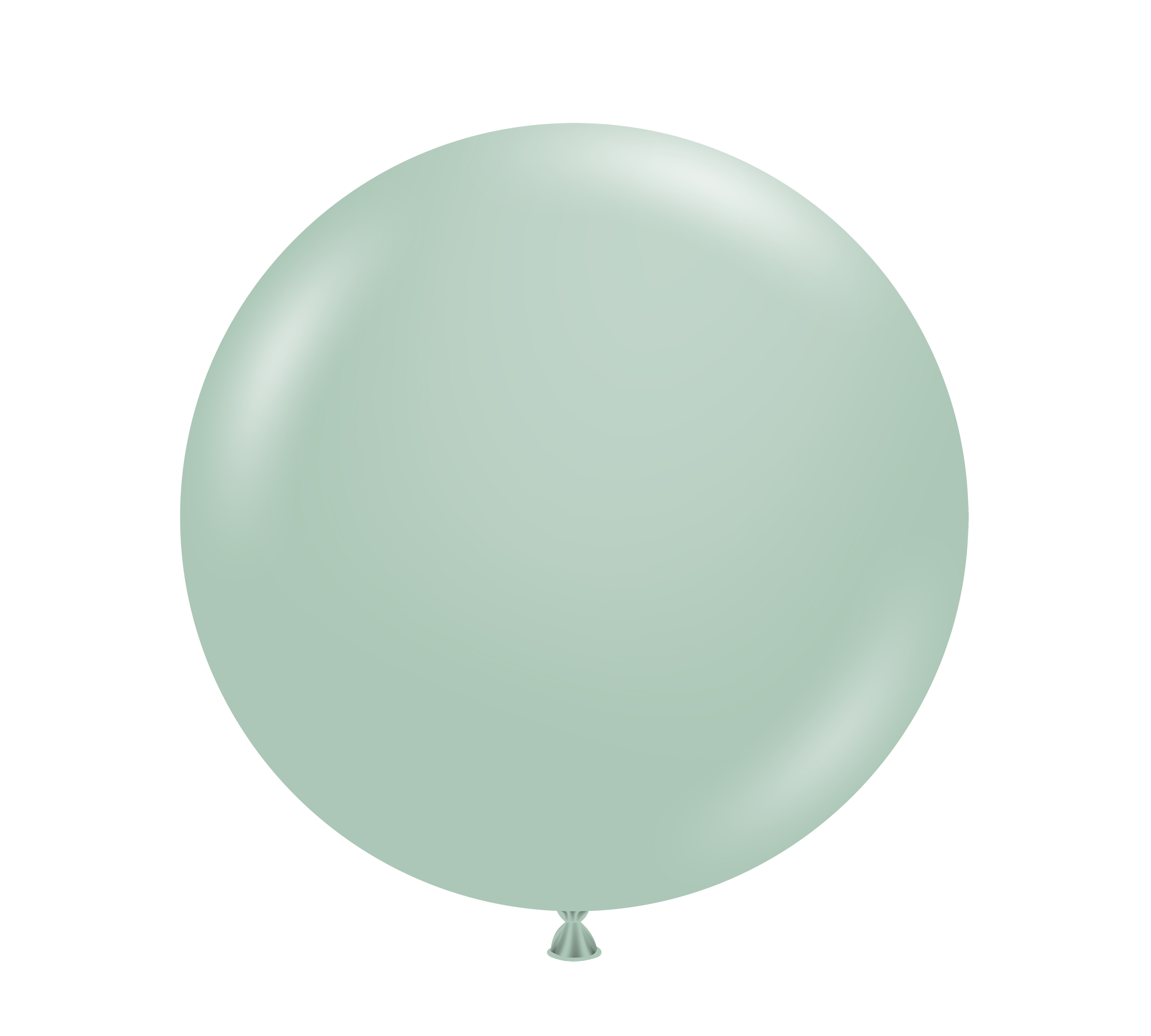 TUFTEX | Designer Balloon Empower Mint - 17 in