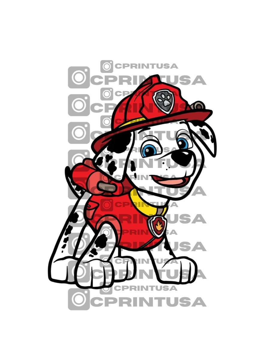PAW PATROL 2 CUT OUT - FestiUSA