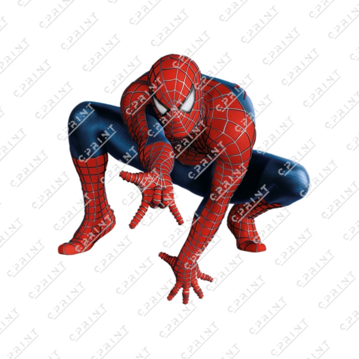 Spiderman cutout - FestiUSA