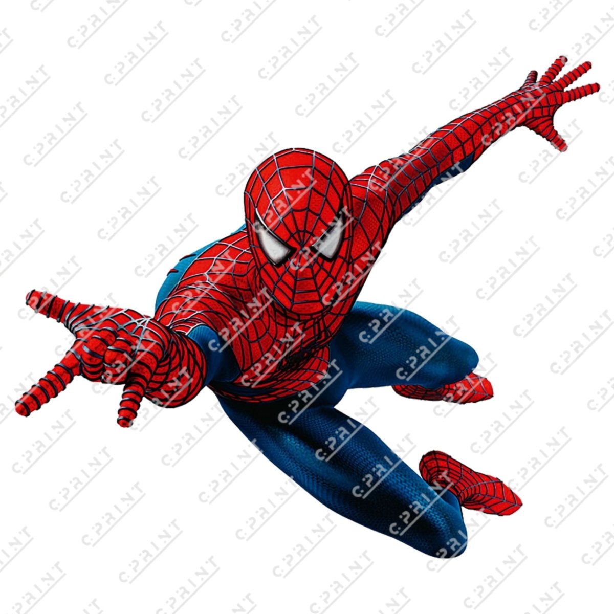 Spiderman cutout - FestiUSA