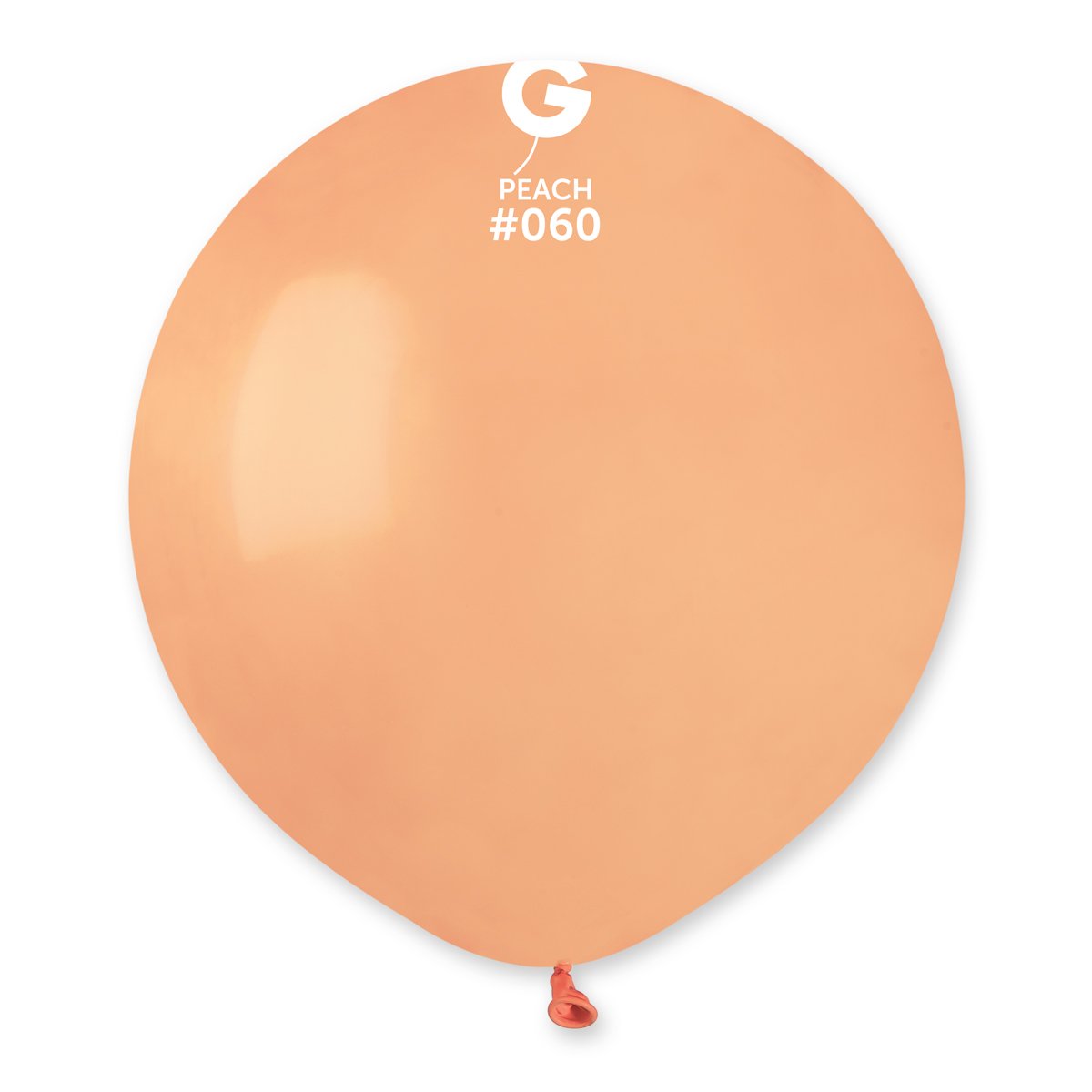19'' - FestiUSA
