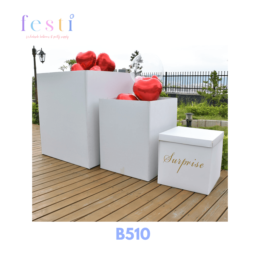 B510 Borosino Surprise Box - FestiUSA