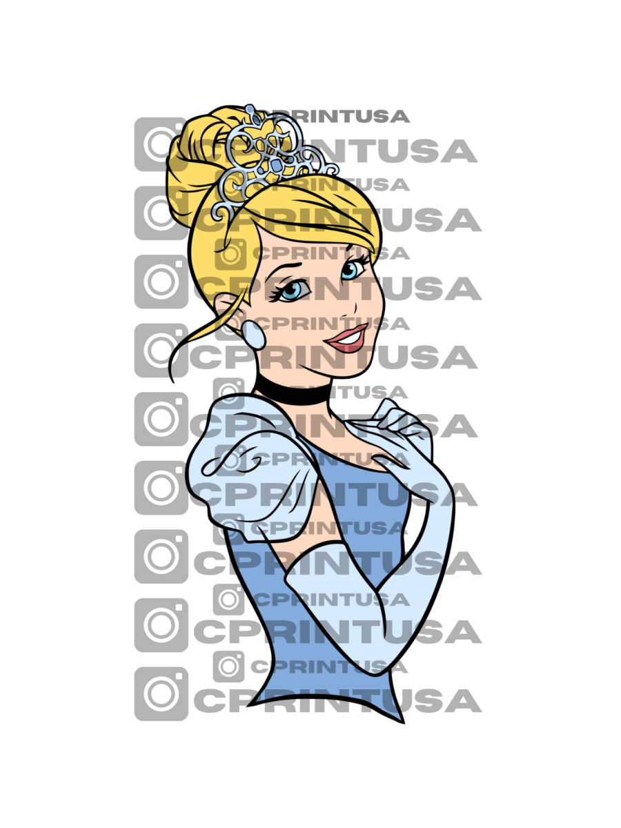 CINDERELLA CUT OUT - FestiUSA