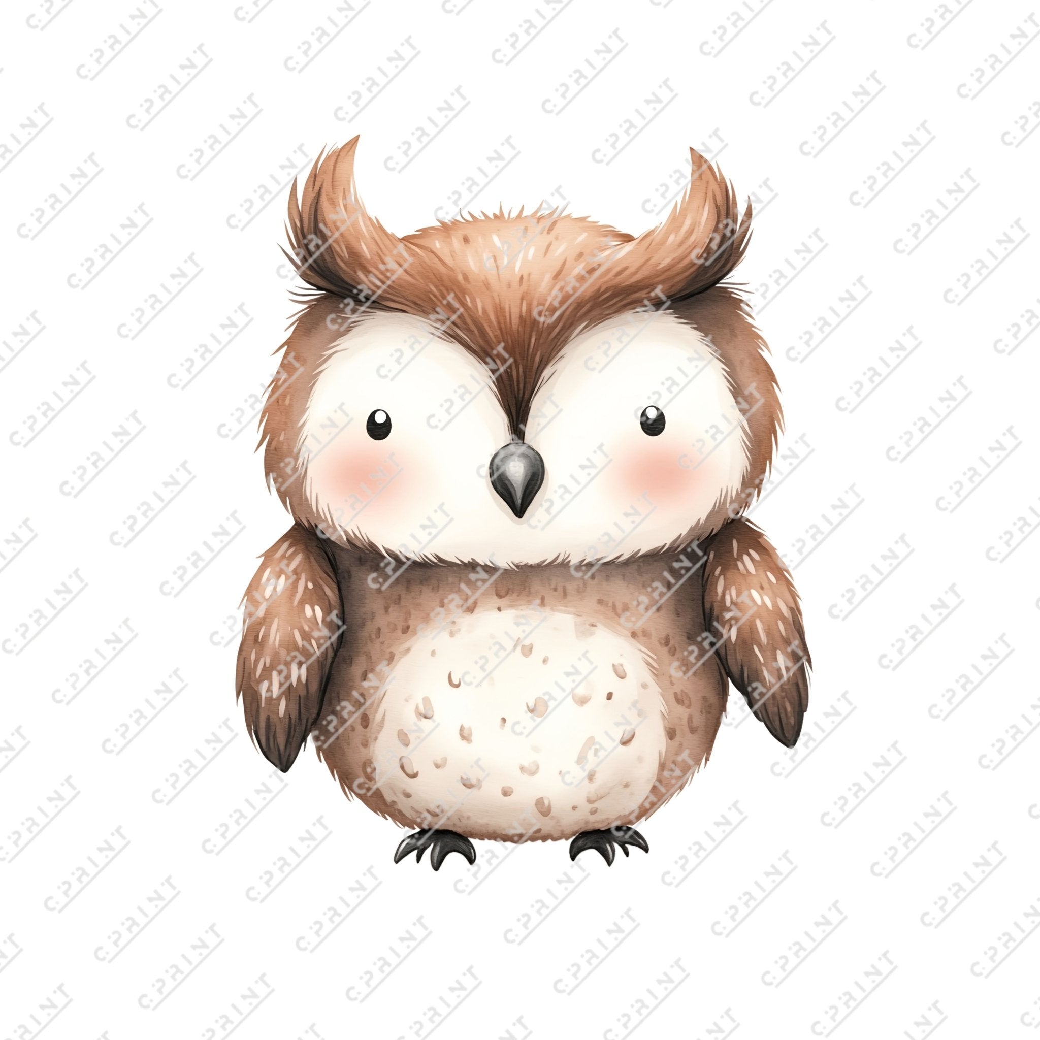 Cute Watercolor Baby Owl
