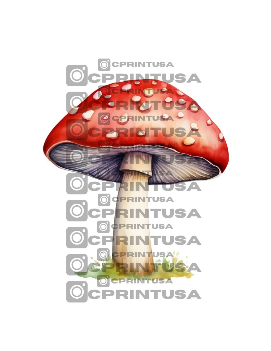 FAIRY CUT OUT - FestiUSA