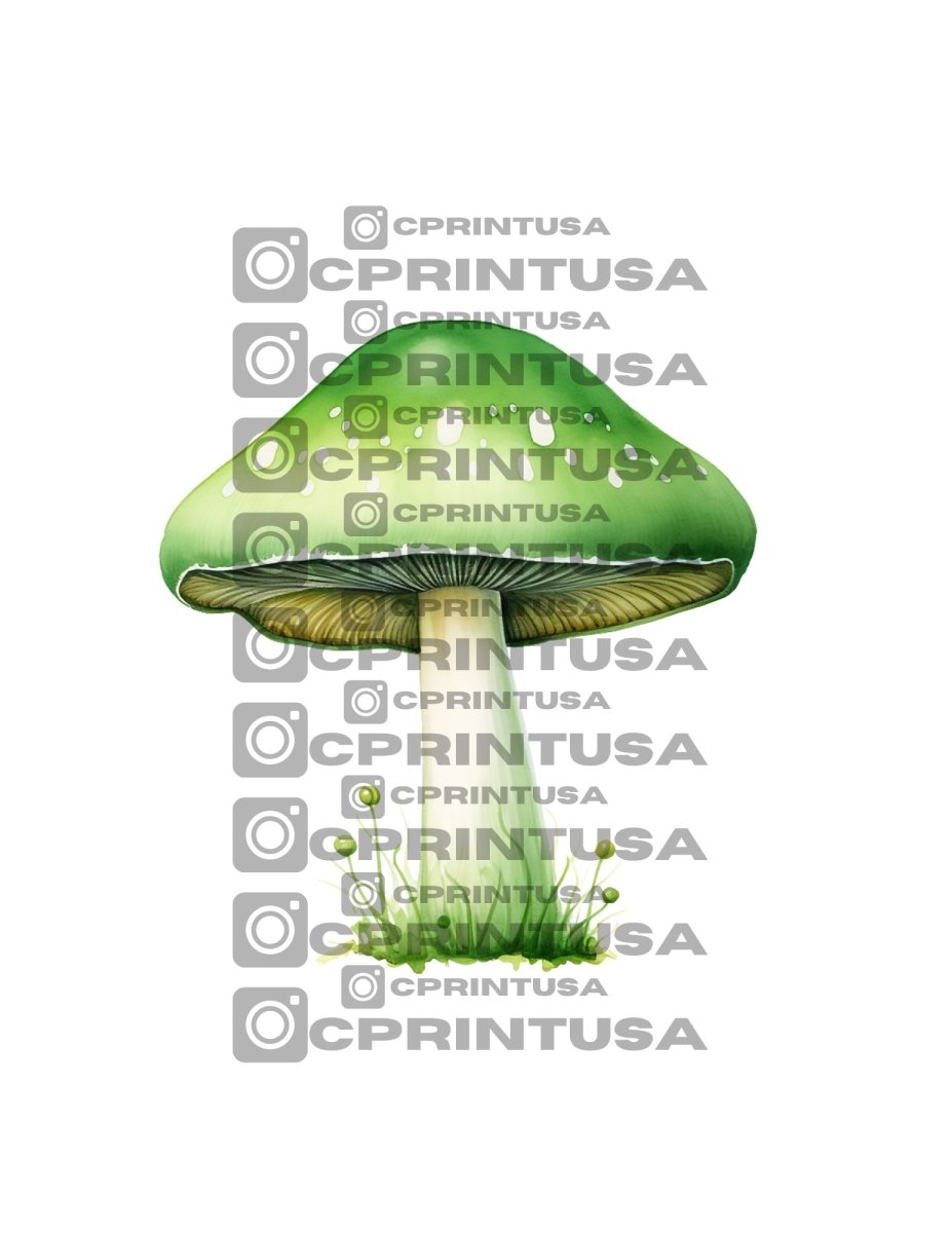 FAIRY CUT OUT - FestiUSA