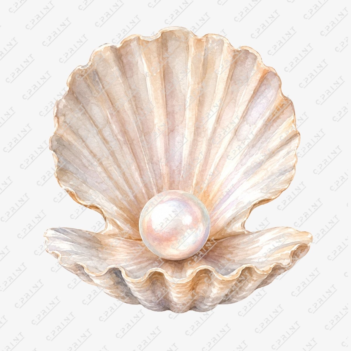 Pearl in Seashell Cutout - FestiUSA