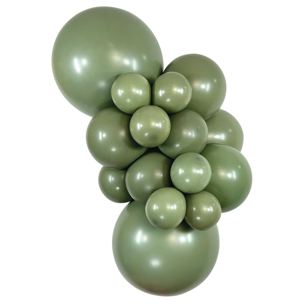 SEMPERTEX | Deluxe Eucalyptus - 11 in. - FestiUSA