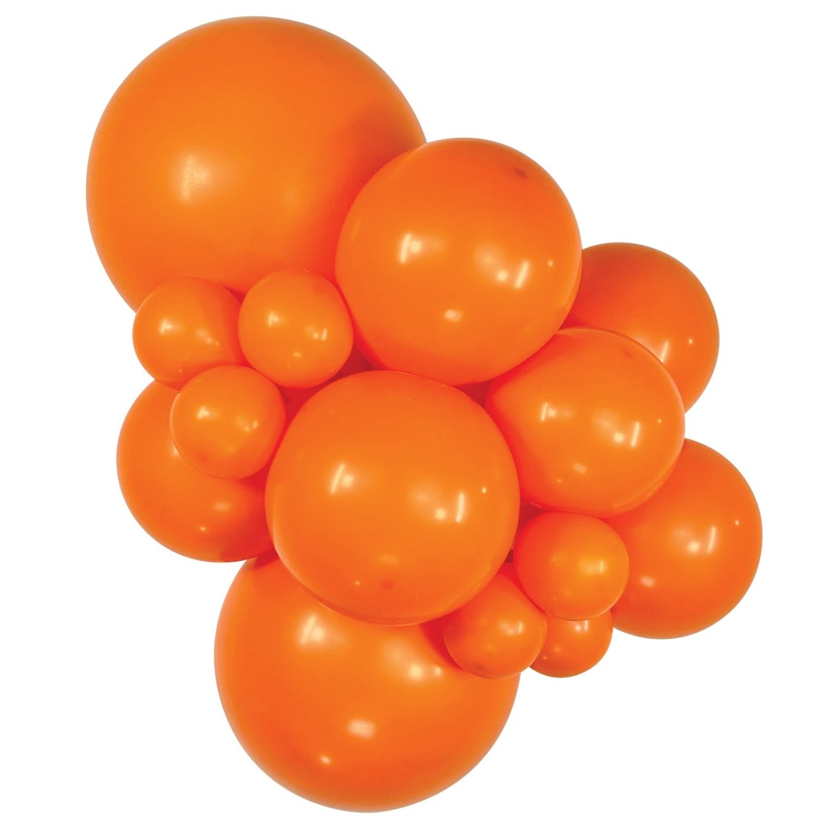 SEMPERTEX | Fashion Orange - 11 in. - FestiUSA