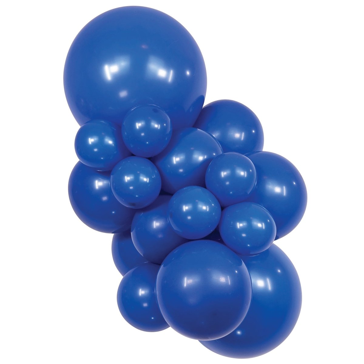 SEMPERTEX | Fashion Royal Blue - 11 in. - FestiUSA
