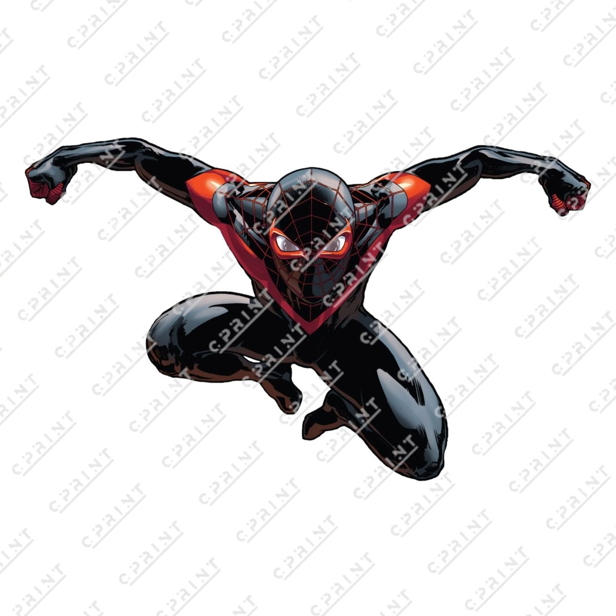 Spiderman cutout - FestiUSA