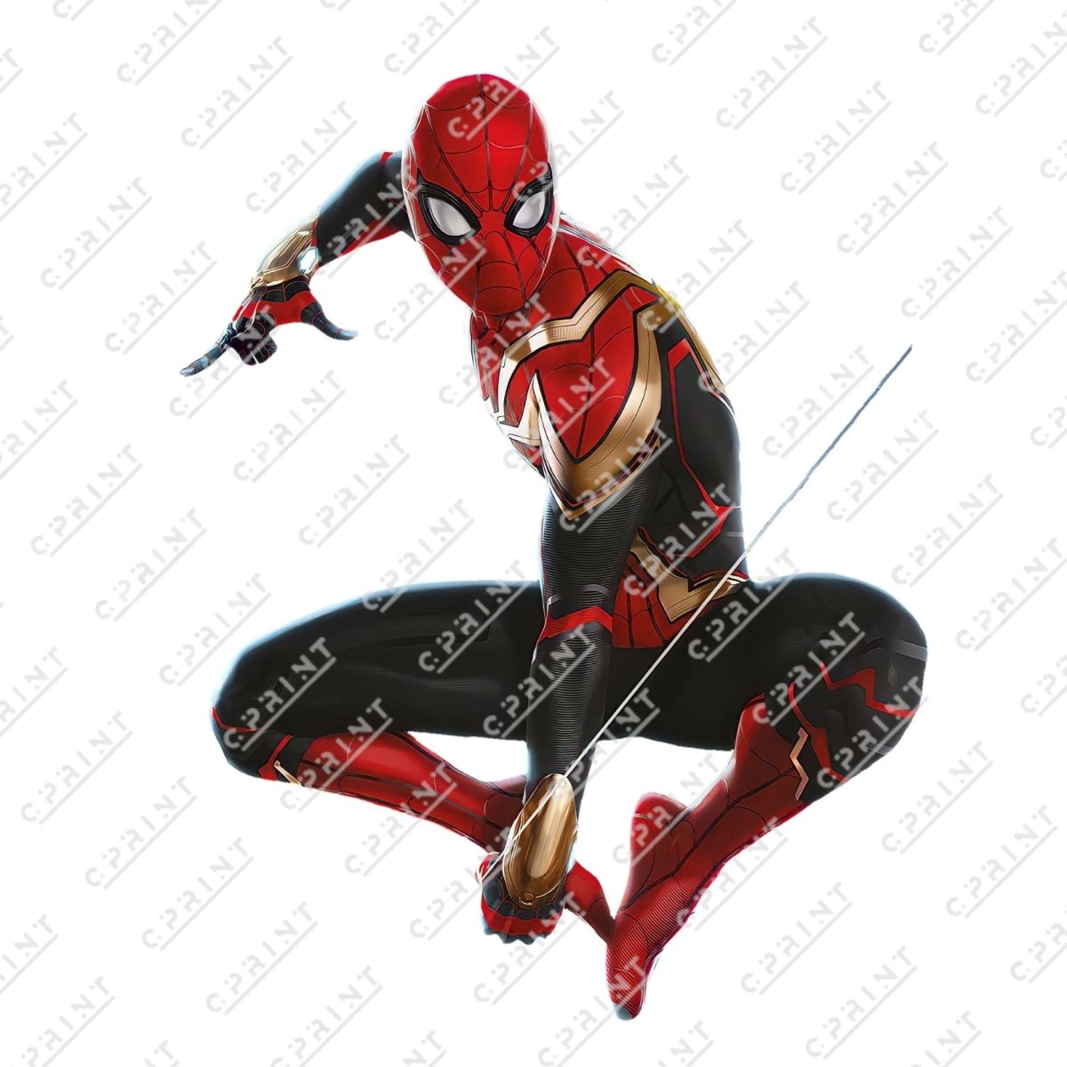 Spiderman cutout - FestiUSA