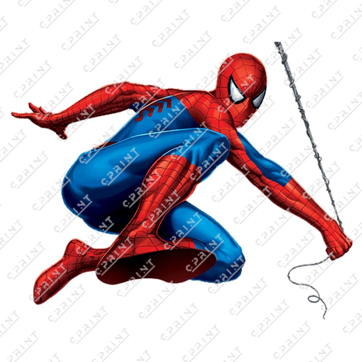 Spiderman cutout - FestiUSA