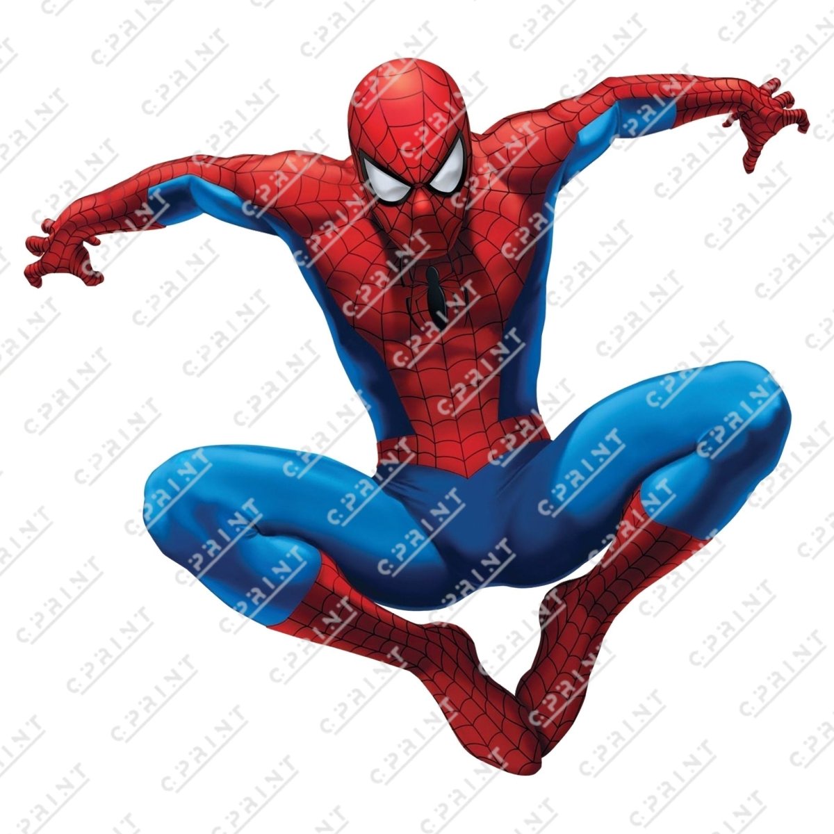 Spiderman cutout - FestiUSA