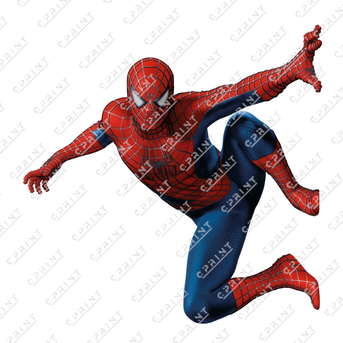 Spiderman cutout - FestiUSA