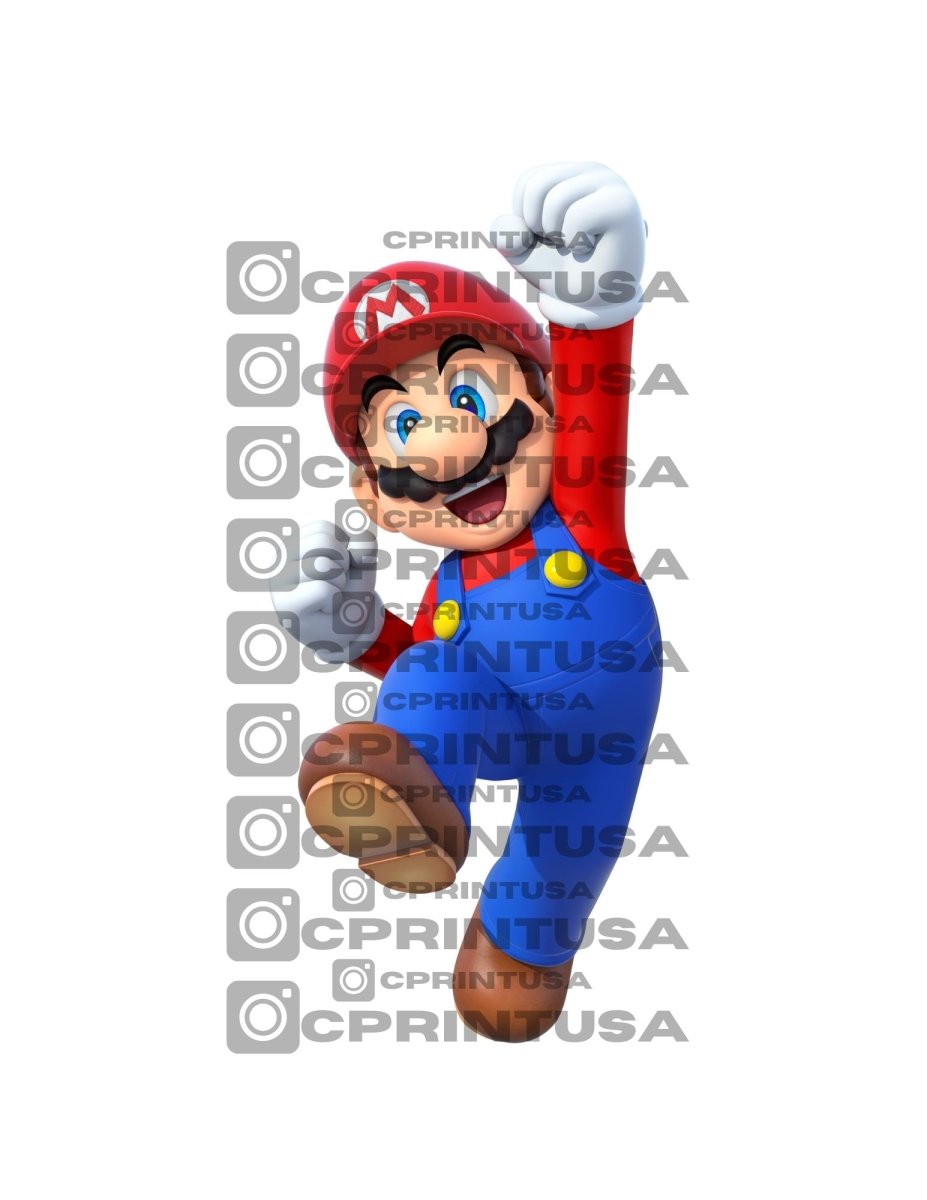 SUPER MARIO CUT OUT - FestiUSA