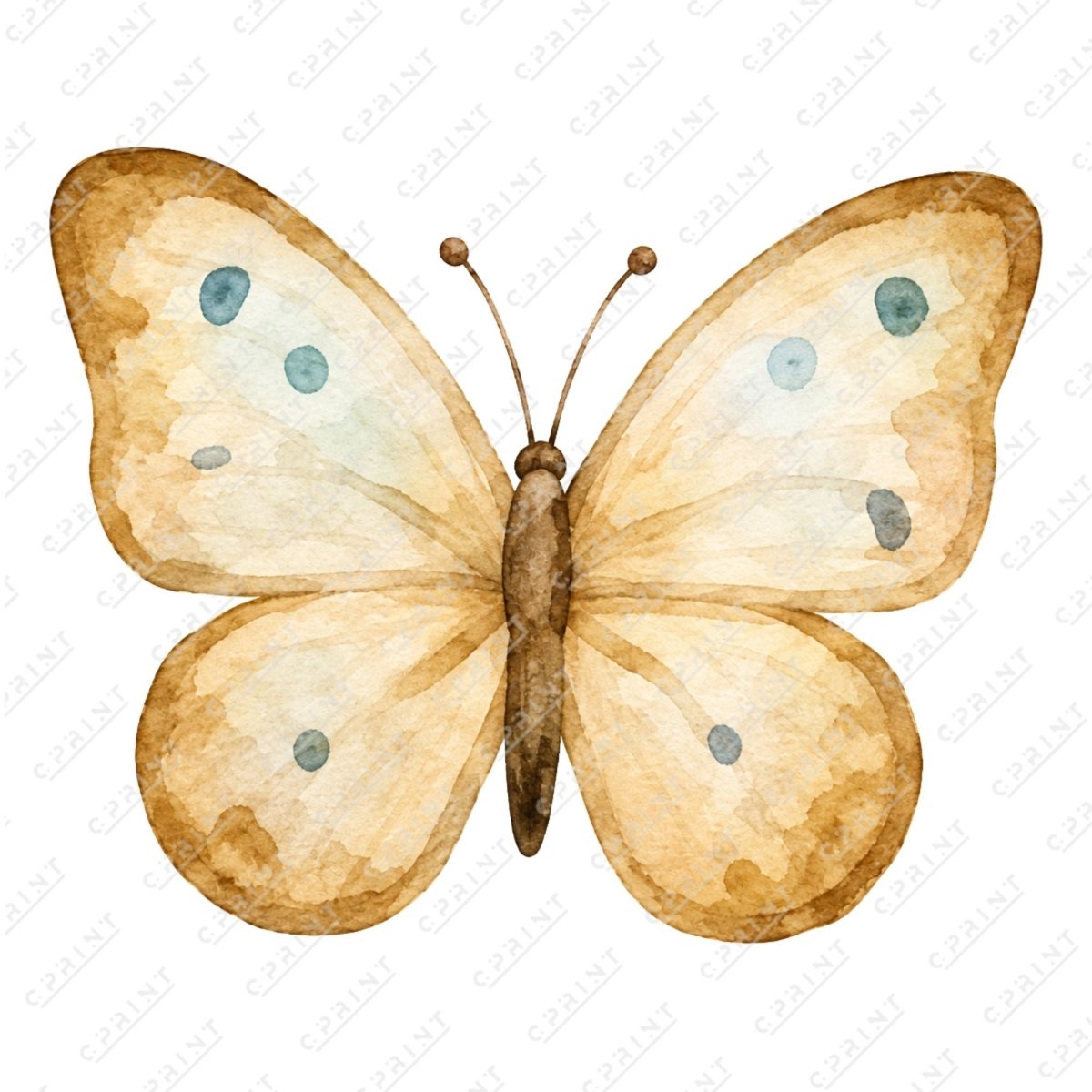 Teddy Bear Picnic Butterfly - FestiUSA