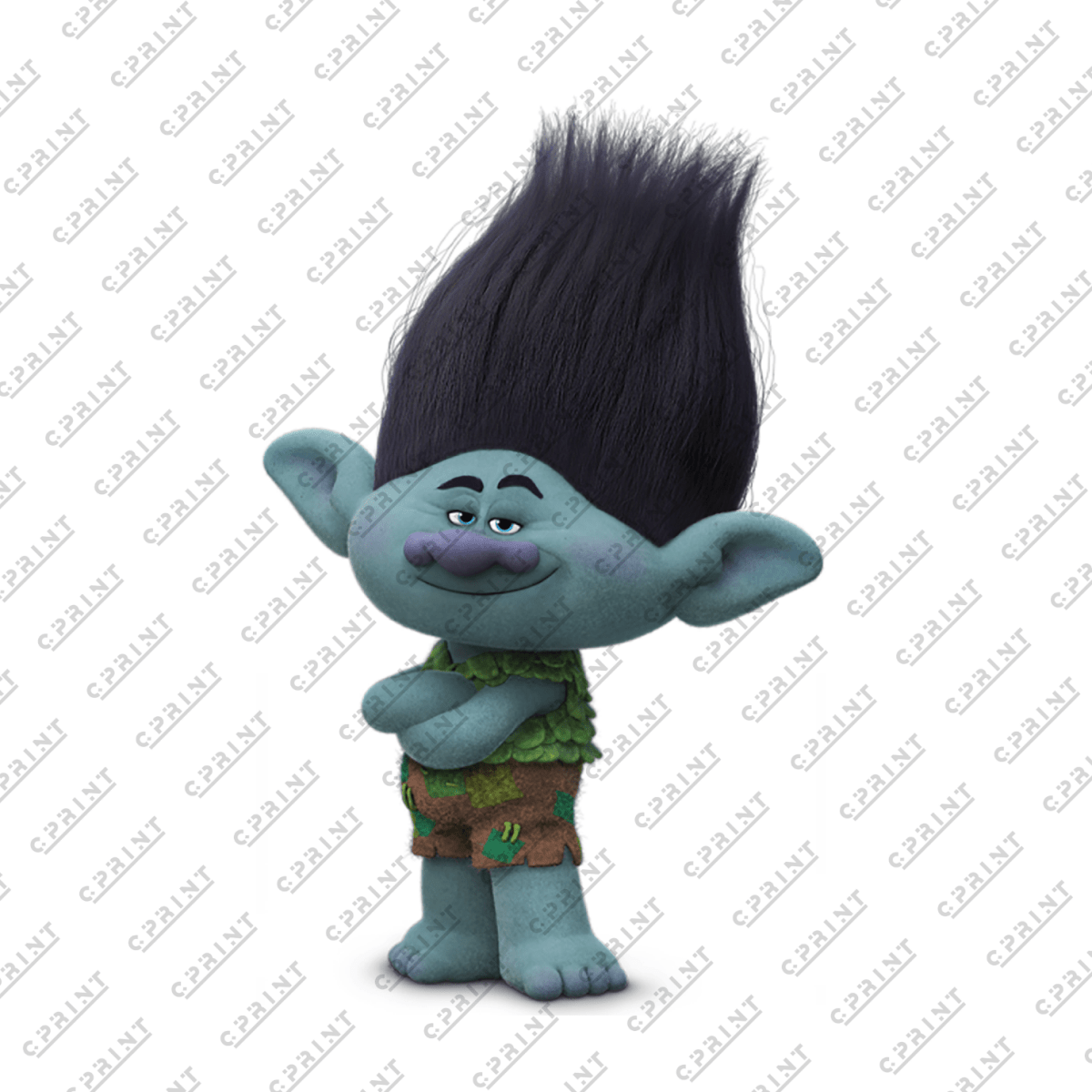 Trolls Character Branch - FestiUSA