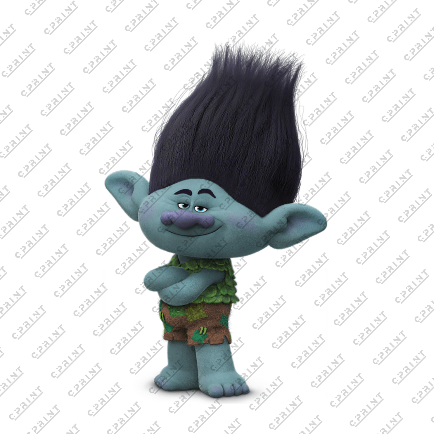 Trolls Character Branch