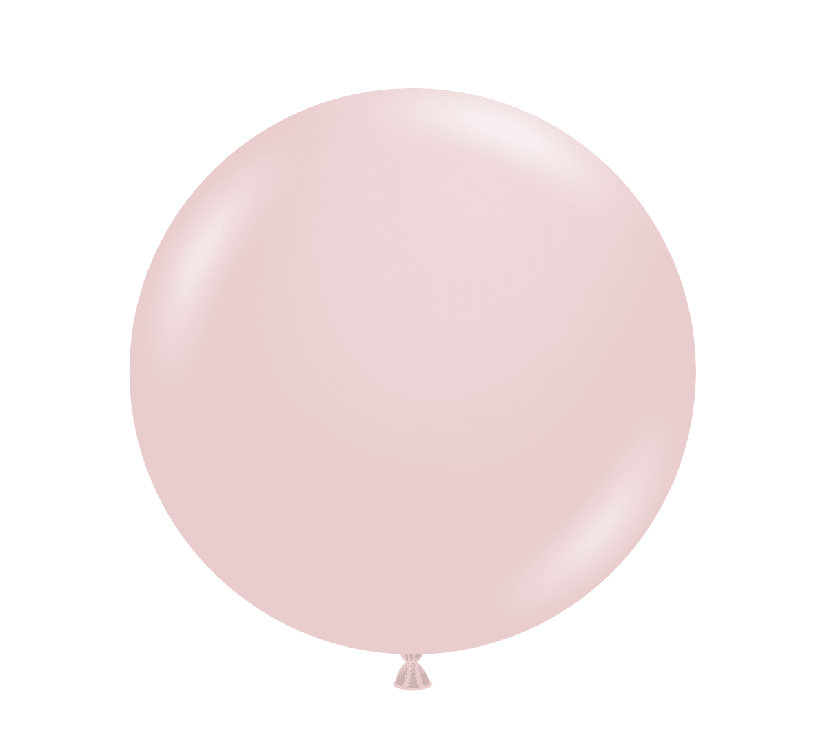 TUFTEX | Designer Balloon Cameo - 17 in. - FestiUSA