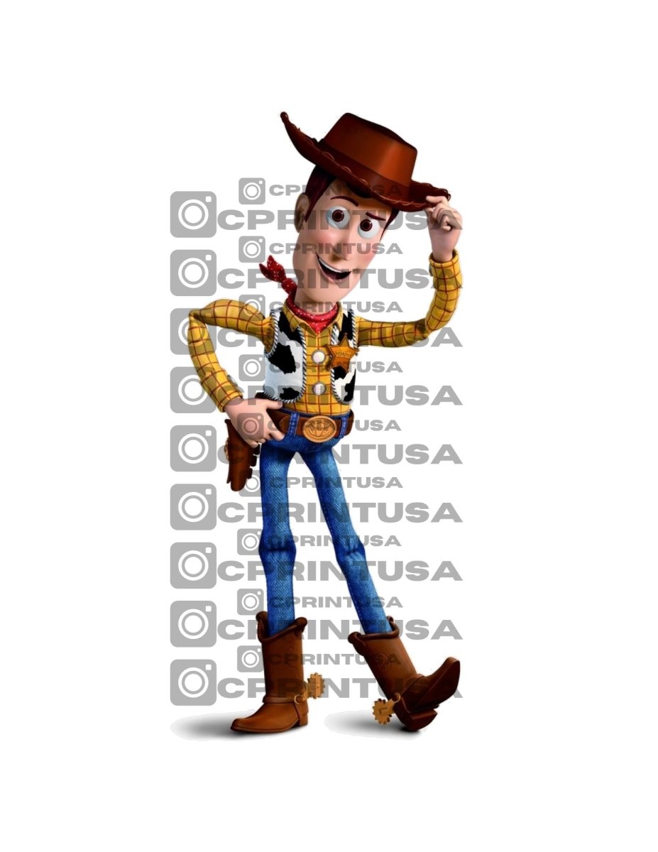WOODY TOY STORY CUT OUT - FestiUSA
