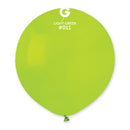 Gemar USA Light Green G150-011 19" - FestiUSA