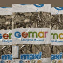 Gemar USA Maxi Bag Metallic Silver GM110-038 12" - FestiUSA